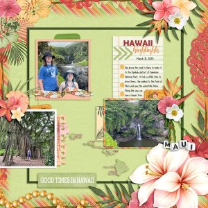 Good-Times-in-Hawaii.jpg