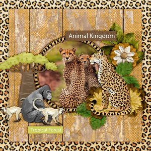 Animal-Kingdom.jpg