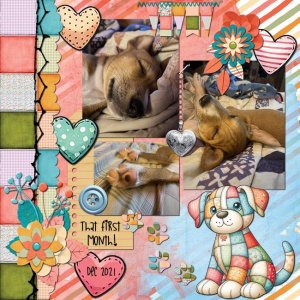 TodayCT-PatchPals-000-Page-1.jpg