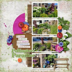 Pollinators' Paradise