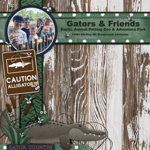 Outdoor-Swamp-White-Space-vol-107-1-2024.jpg