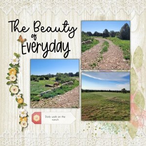 Beauty of Everyday.jpg