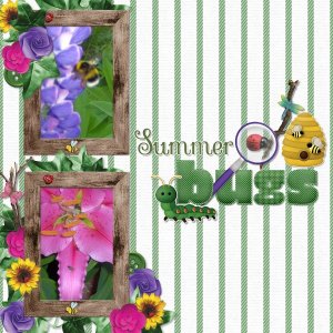 Summer bugs