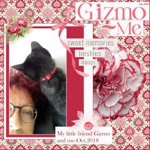 9th-July 2025 -9-Documenting Your Life-Gizmo and Me.jpg
