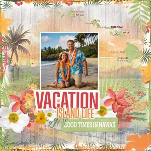 Aloha-Summer-2-Adrienne-Ske.jpg