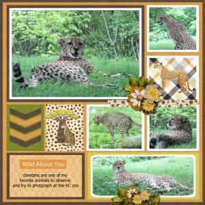 wild-thing-scrapbook-crazy-.jpg