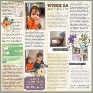 Week-28_Mon-07-Jul_to_Sun-13-Jul-2025.jpg
