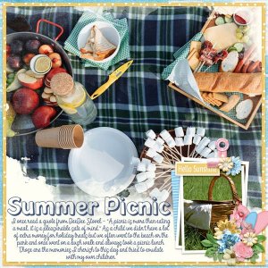 Summer Picnic