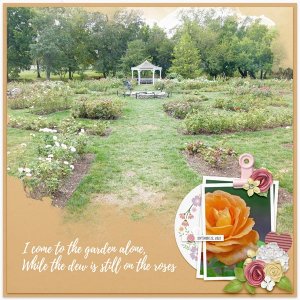 Rose Garden