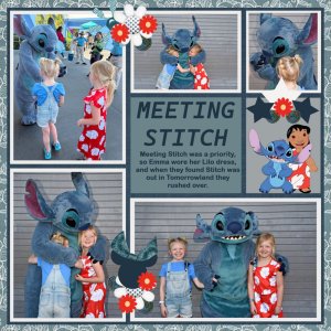 Meeting Stitch