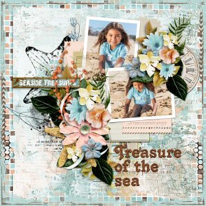 Seaside Treasures
