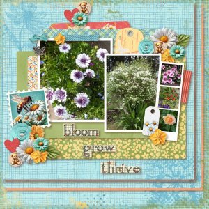 Bloom Grow Thrive