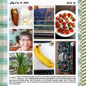 week 28