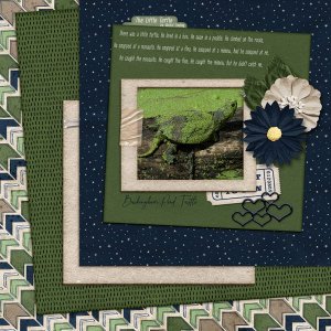 The-Little-Turtle.jpg