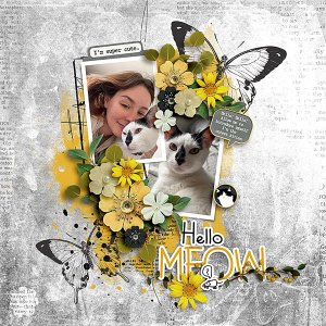 Madison-and-her-Kitten.jpg
