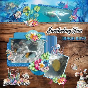 snorkeling fun