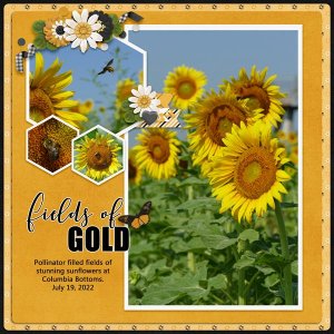 Fields of Gold