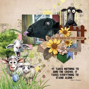 Black Sheep