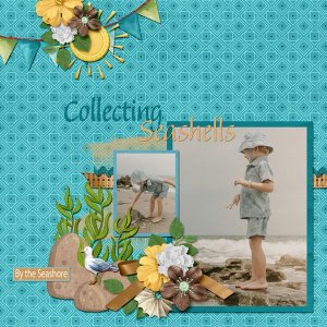 Seashells by the Seashore