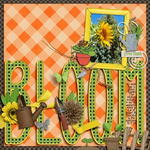 Bloom