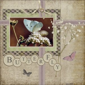 16th-July 2025-3th-Layout Bingo Challenge-Butterfly-.jpg