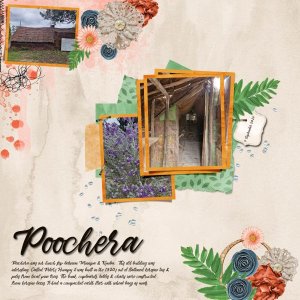 Poochera