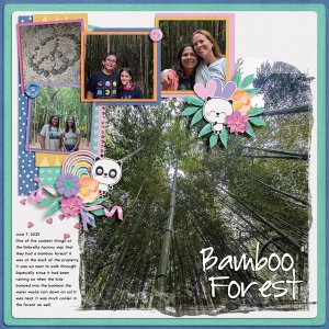 Bamboo Forest