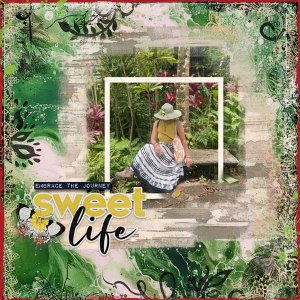 Sweet-Life-webv.jpg