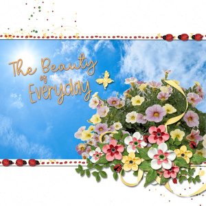 The Beauty of Everyday