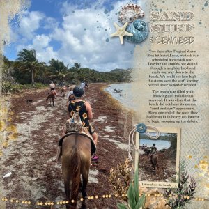 Sand Surf Seaweed.jpg