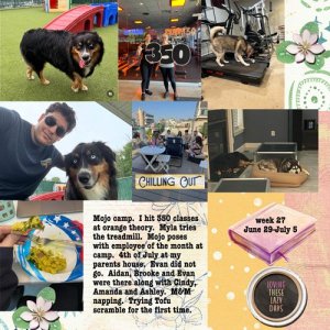 2025-week27.jpg