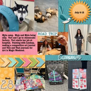 2025-week28.jpg