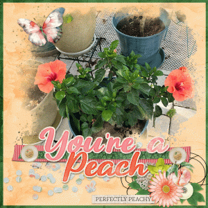 Peachy-GS_July21_MFishMix_Temp.gif