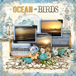 ocean and birds small.jpg