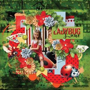 Ladybug Lane