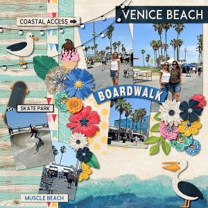 Venice Beach Boardwalk
