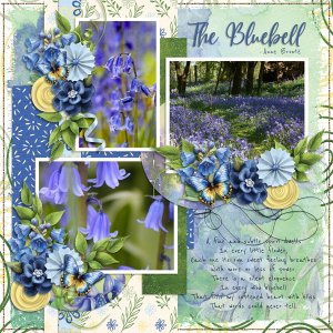 The-Bluebell.jpg