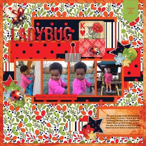 Ladybug