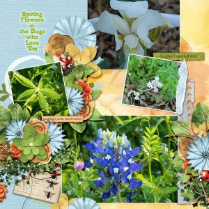 Springtime Flowers Bugs Love