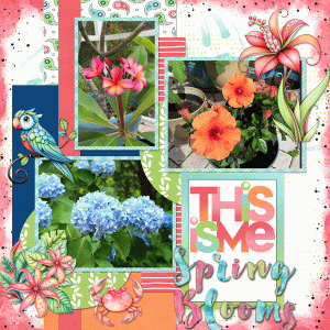 Summer-Blooms-Tinci_2025JULTC2.gif