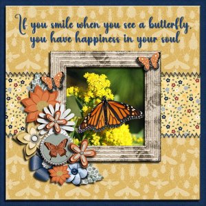 Butterfly