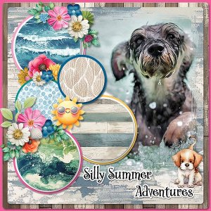 SummerAdventure_ollitko_600.jpg