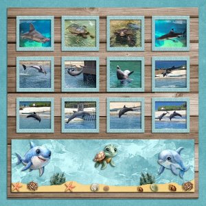 Sea Life Park Hawaii