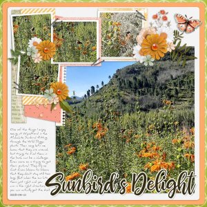 2025-04-12_SunbirdsDelight