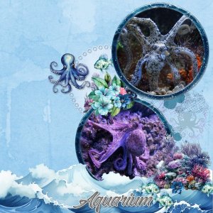 aquarium.jpg