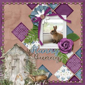 Hunny Bunny