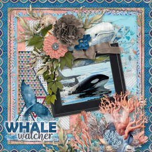 Whale Watcher