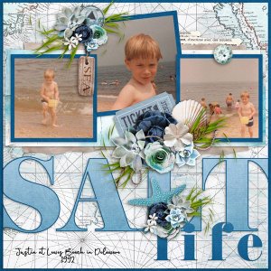 Shoreline Memories-Templates-Miss Fish with Memories Of The Shells-CarolW.jpg