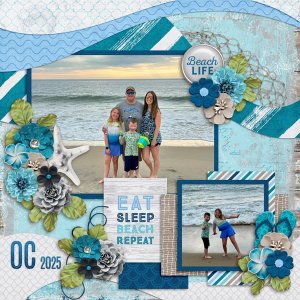 Beach Gateway with Temp #3-Aprilisa.jpg