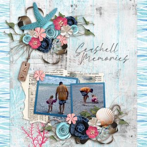 Memories Of The Shells with Temp 2-CarolW.jpg